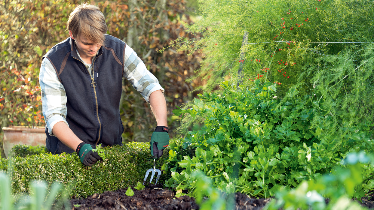 BOSCH Mini vile - (06008B5400)-SBT Alati Beograd