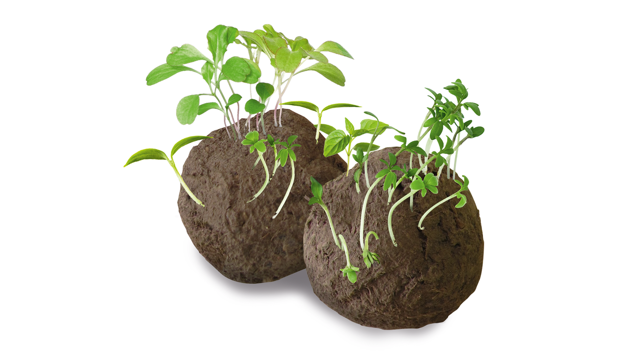 BOSCH IXO 7 Godišnjica - Akku-uvrtač IXO 7 (06039E0009)-SBT Alati Beograd