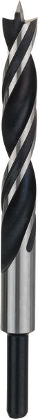 BOSCH PRO Wood spiralna burgija, 13×110×151 mm - (2608577716)-SBT Alati Beograd