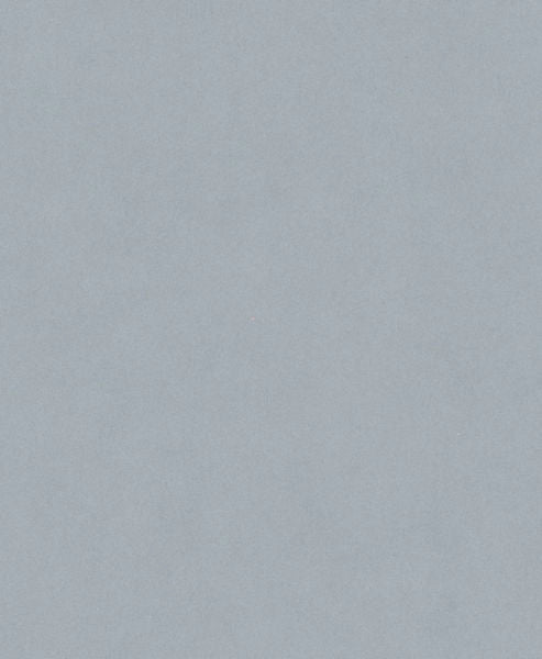 BOSCH PRO C355 brusna rolna, 230×280 mm, 1200 - PapirBListVodootpor,C355,230x280mm,G1200 (2608608H69)-SBT Alati Beograd