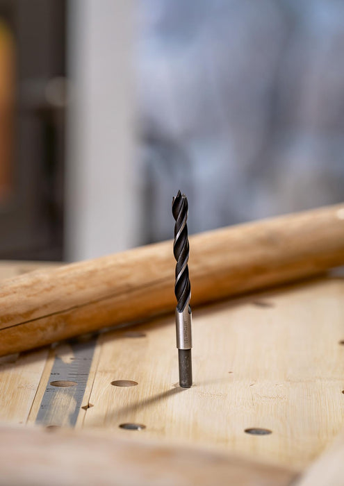 BOSCH Burgija za drvo - Spiralna burgija za drvo 16x100x160 mm (2609255213)-SBT Alati Beograd