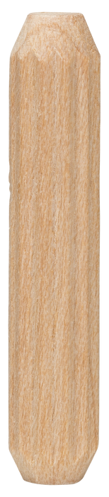 BOSCH Tiplovi - DIY_Tipl 6x30 (2609255309)-SBT Alati Beograd