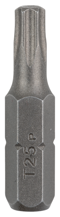 BOSCH Nastavci za odvrtače za standardne unutrašnje Torx® vijke (T) - Bit odvrtača Standard T25 25mm,1/4" hex (2609255935)-SBT Alati Beograd