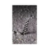 Milwaukee Burgija za beton, SDS Plus MX4, 4 - rezna, 22 x 200/250 mm, 4932399332