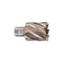 milwaukee-kruna-za-glodanje-hss-36-x-30-mm-weldon-4932371745