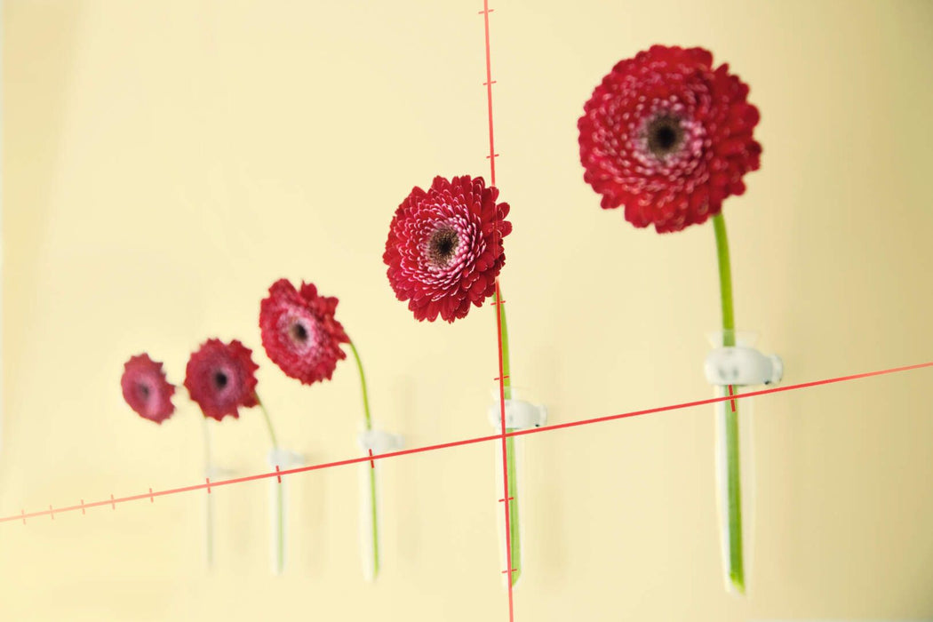 Bosch QUIGO Plus linijski laser sa podelom