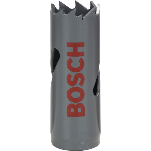 Bosch Testera za otvore HSS-bimetal za standardne adaptere 19 mm, 3/4" (2608584101)