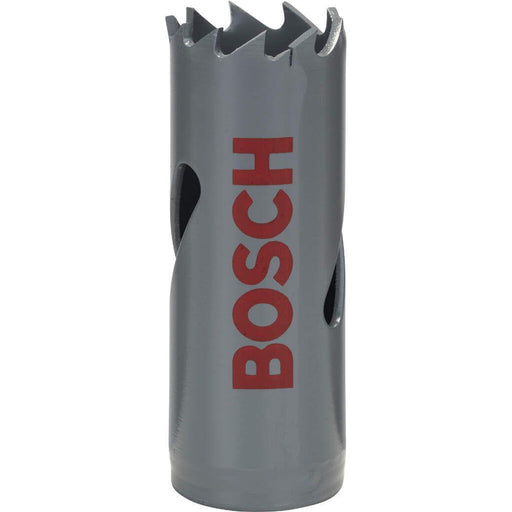 Bosch Testera za otvore HSS-bimetal za standardne adaptere 20 mm, 25/32" (2608584102)