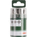 Bosch 10-delni set bitova (2609255975)